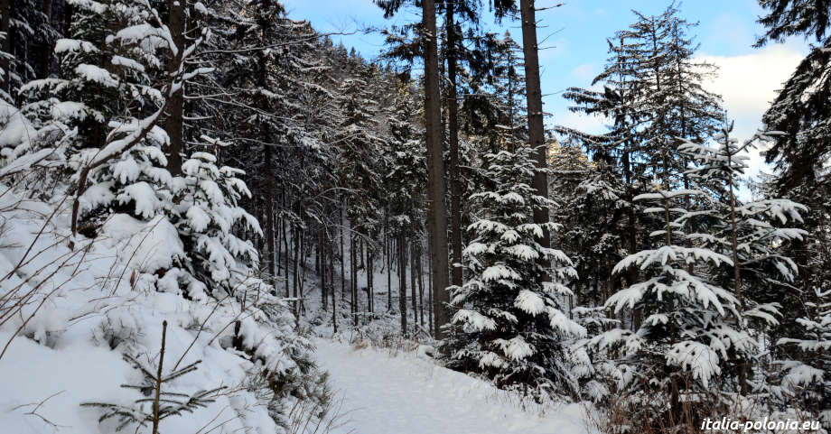 Babia góra. Sentiero blu in inverno da Przełecz Krowiarki a Markowe Szczawiny