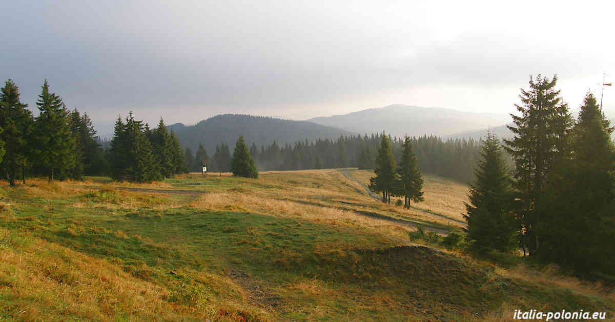 Panorama dal Turbacz