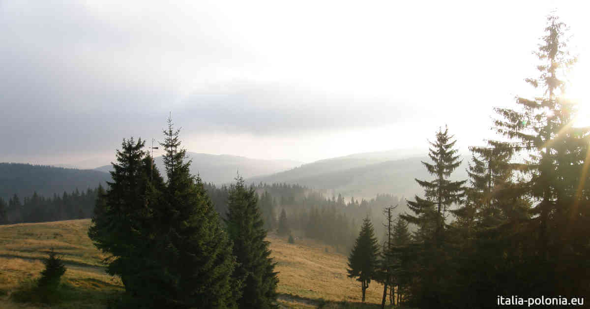 Panorama dal Turbacz - cima del Parco Nazionale di Gorce