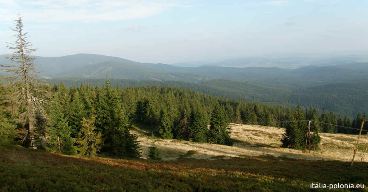 Panorama dal Rysianka