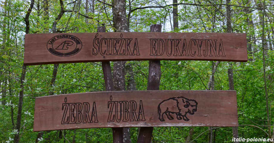 Żebra Żubra - cartello d'ingresso