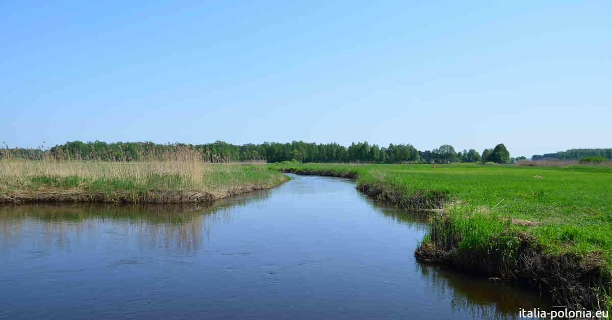 Fiume Biebrza all'interno dell'omonimo parco nazionale