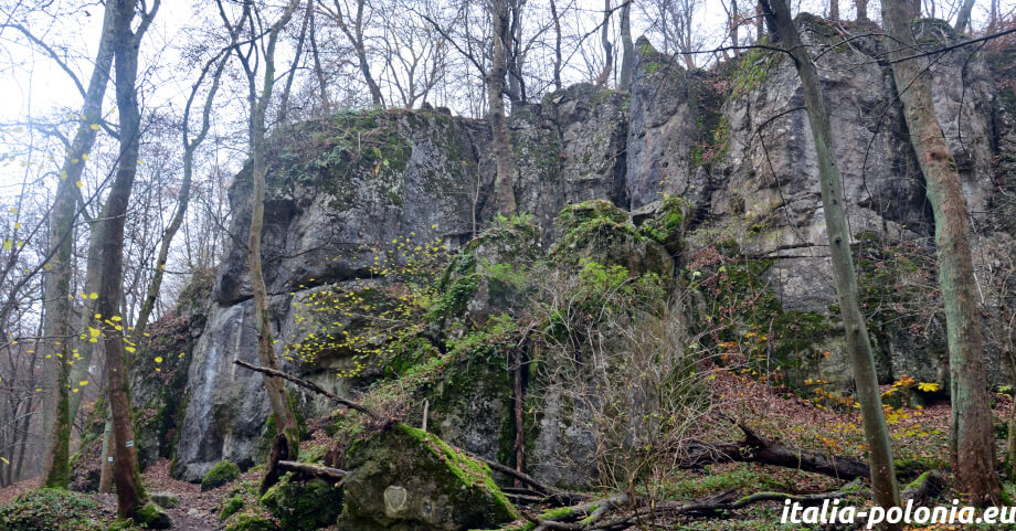 Las Wolski nel Parco Paesaggistico di Bielany-Tyniec