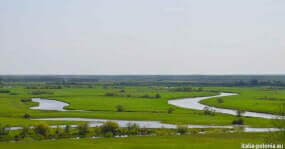 Fiumi in Polonia