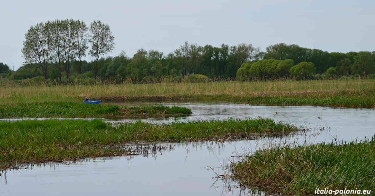 Dieci fiumi in Polonia da navigare in canoa