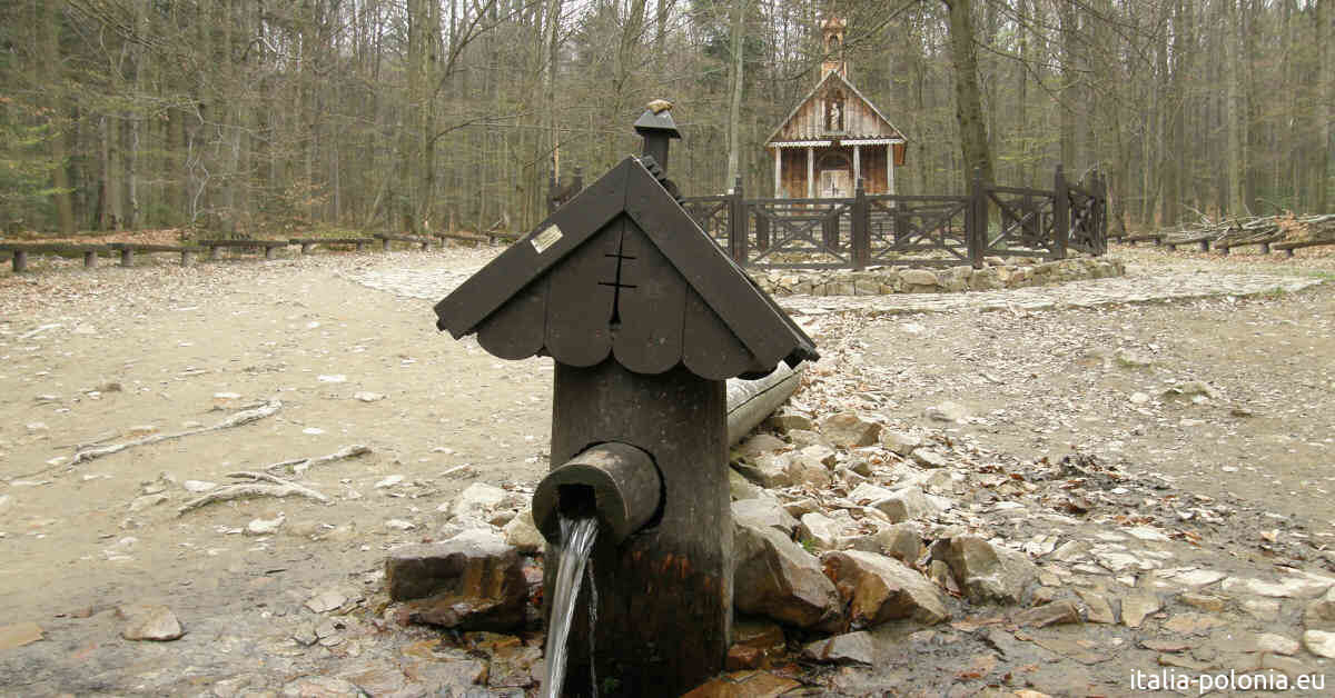 Fonte all'ingresso di Puszcza Jodłowa