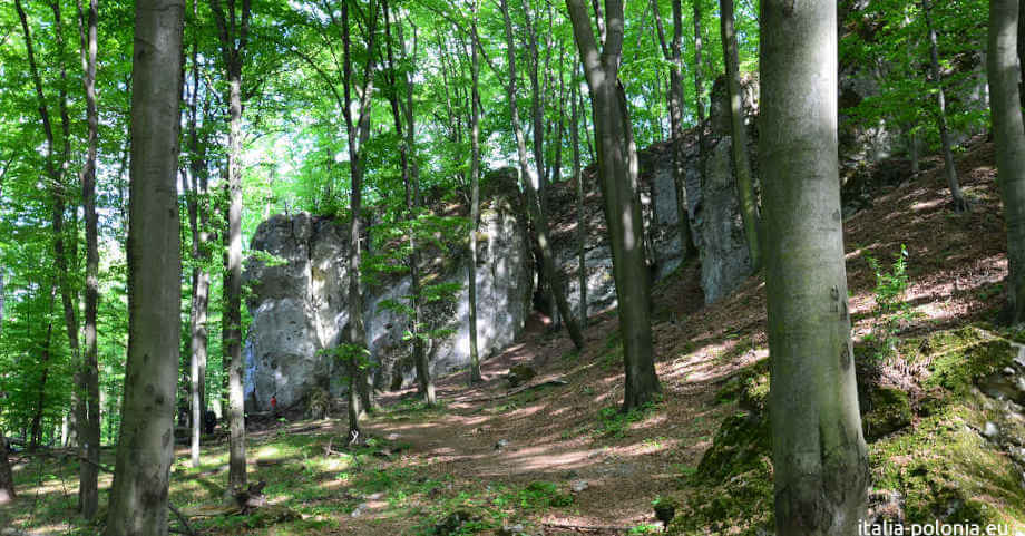 Riserva di Ostrężnik