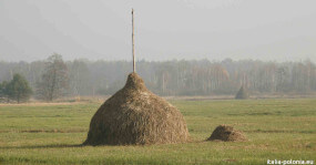 Parco Nazionale di Kampinos