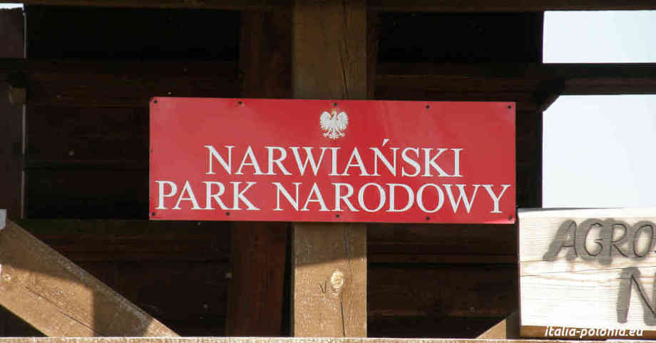 Parco Nazionale del Narew
