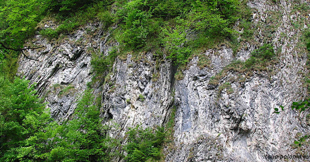 Geologia Pieniny - Sistema di pieghe