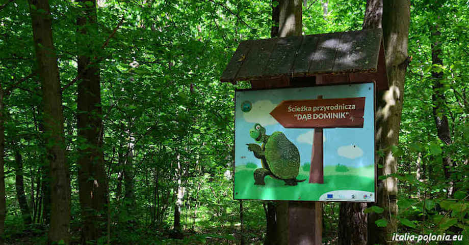 Indicazioni con la tartaruga nel Parco Nazionale del Polesie