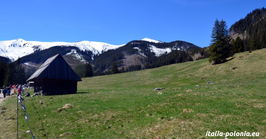 Dolina Chochołowska. La valle più lunga dei Tatra
