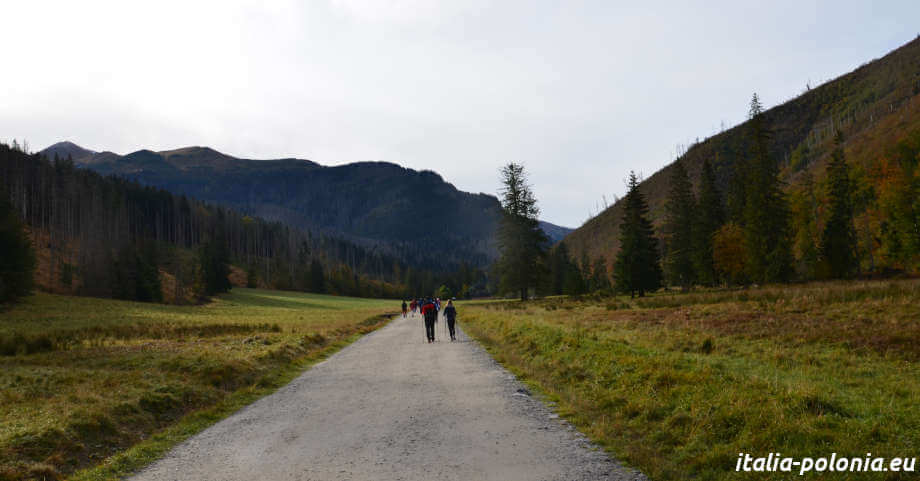 Dolina Kościeliska. I Tatra fra grotte e strette gole