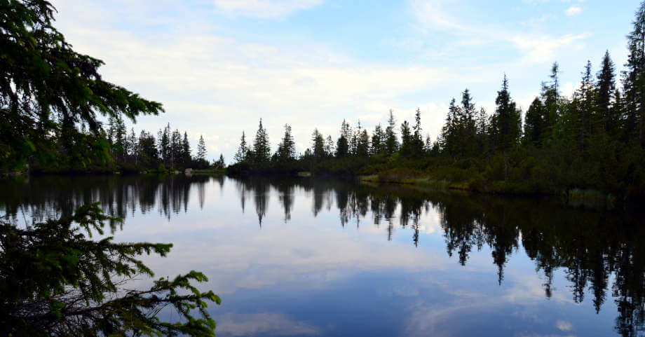 Jamské Pleso