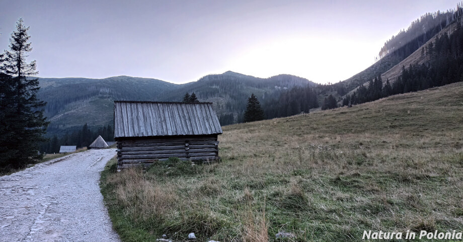 Dolina Chochołowska al tramonto