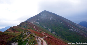 Starorobociański Wierch. Il tetto dei Tatra Occidentali polacchi