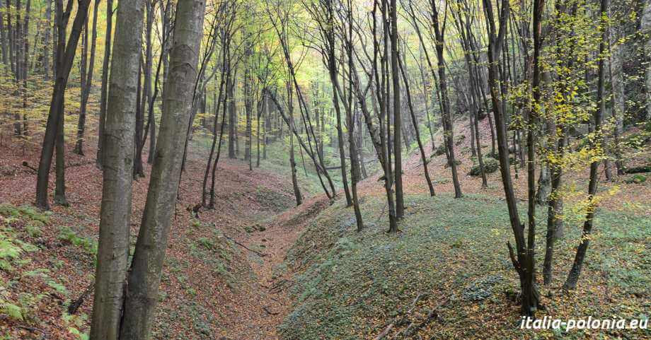 Dolina Mnikowska nel Parco Paesaggistico di Tenczyn. Valle settentrionale