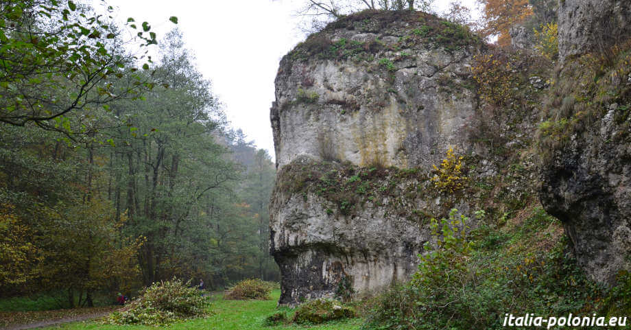 Parco Paesaggistico di Tenczyn e i suoi castelli