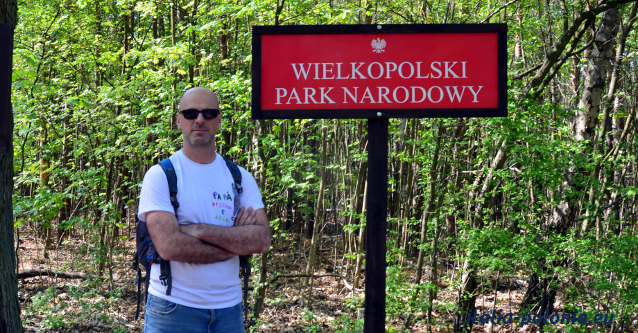 Parco Nazionale della Grande Polonia o Wielkopolski