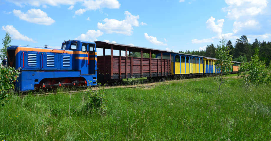 Treno a scartamento ridotto